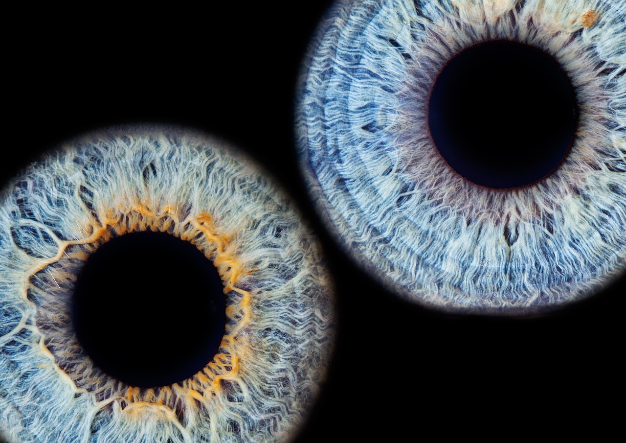 How to Draw A Realistic Eye for Beginners